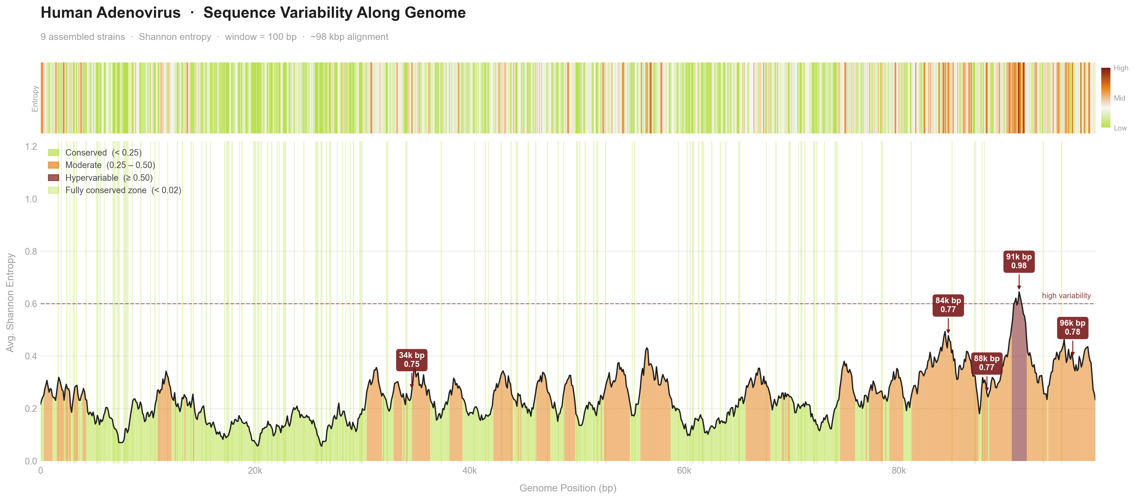 Human adenovirus sequence variability plot across genome position